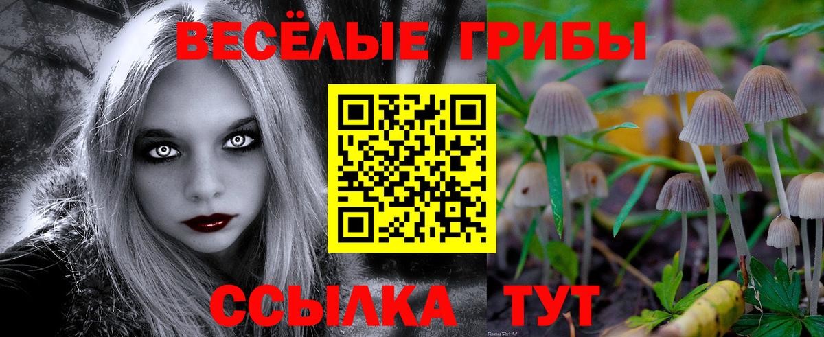 Псилоцибиновые грибы Magic Shrooms Тейково